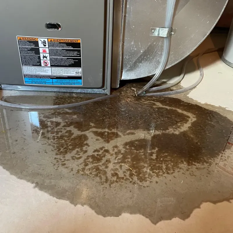 Appliance Leak Cleanup in Eudora, KS