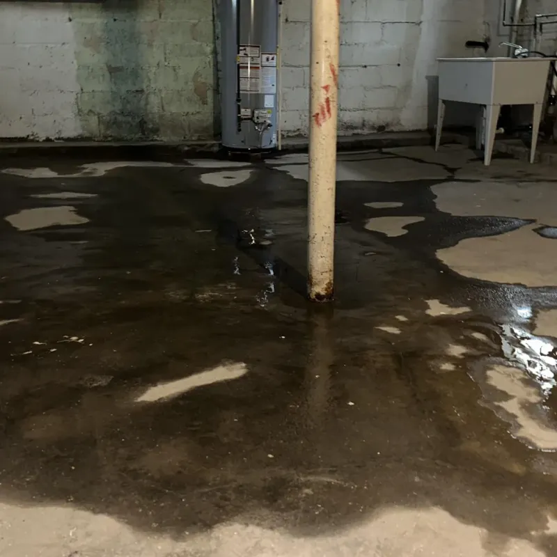 Emergency Water Extraction And Removal in Eudora, KS